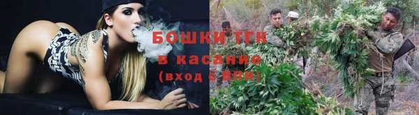 ПСИЛОЦИБИНОВЫЕ ГРИБЫ Алексин