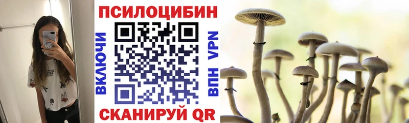 что такое   Тутаев  omg как войти  мориарти Telegram  Галлюциногенные грибы прущие грибы 